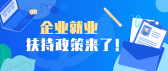 模板缩略图