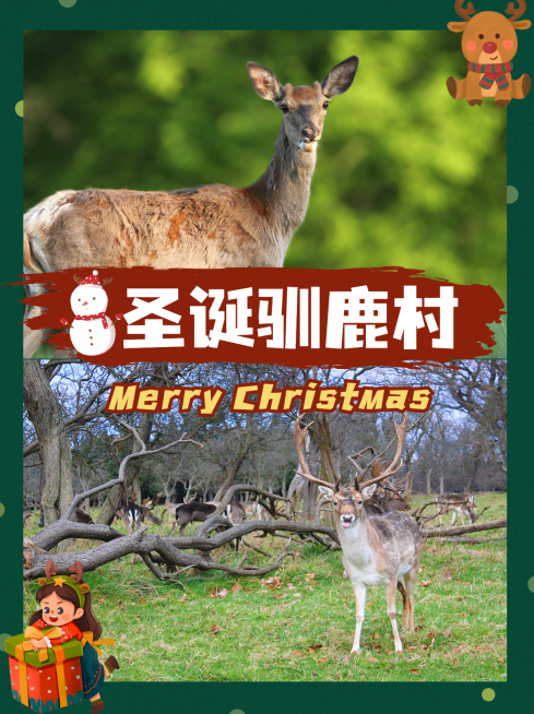 圣诞节旅游攻略实景卡通小红书配图预览效果