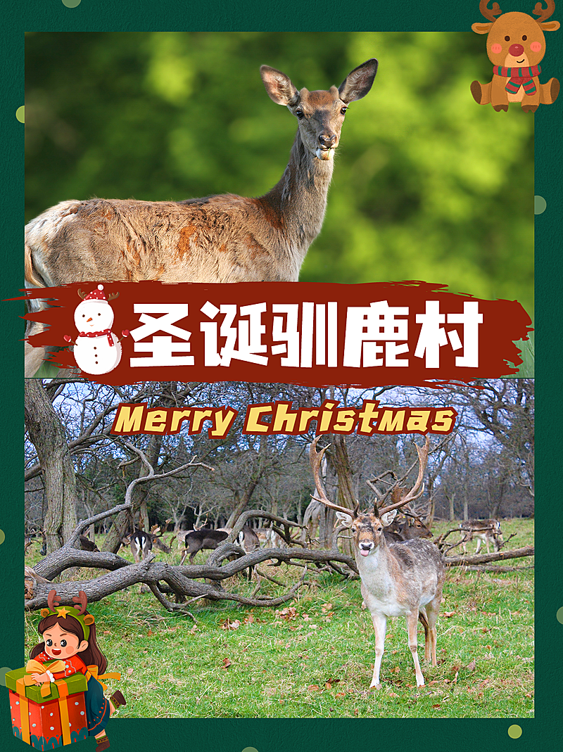 圣诞节旅游攻略实景卡通小红书配图