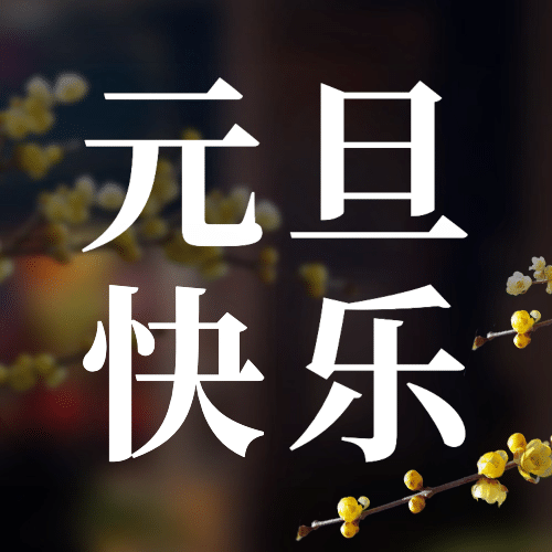 元旦节新年祝福迎新年公众号次图预览效果