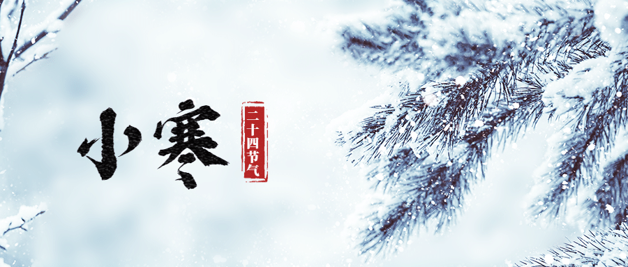 小寒简约实景公众号首图预览效果