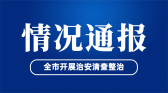 模板缩略图