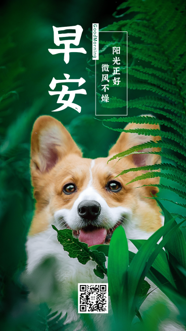 早安晚安励志晒照小清新手机海报预览效果