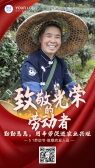 模板缩略图