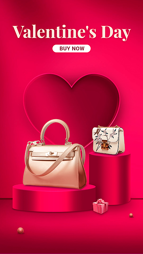 Pure Red Background Luxury Valentine's Day Women's Bags Promotion Ecommerce Story
