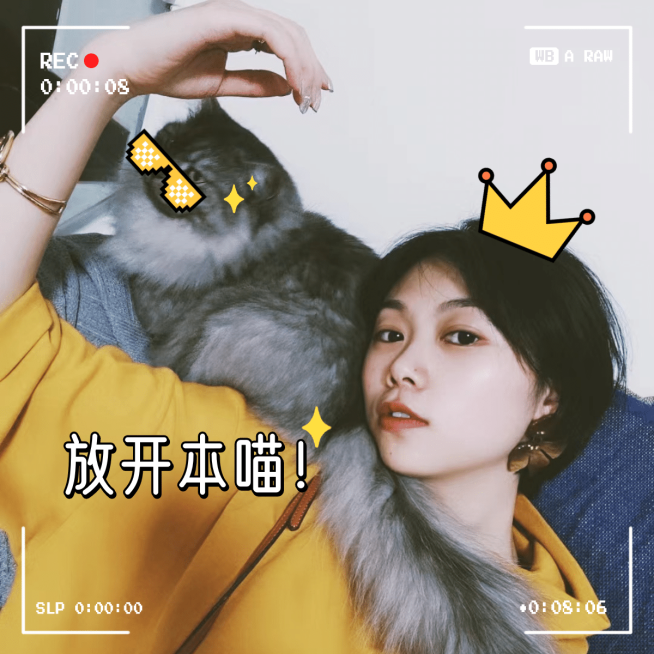 萌宠晒照取景框宠物猫猫晒图模板2预览效果