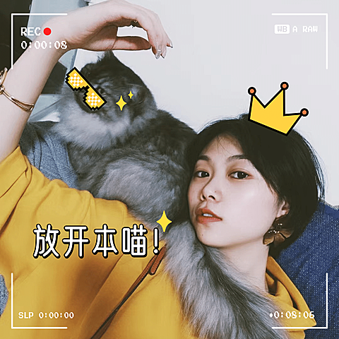萌宠晒照取景框宠物猫猫晒图模板2
