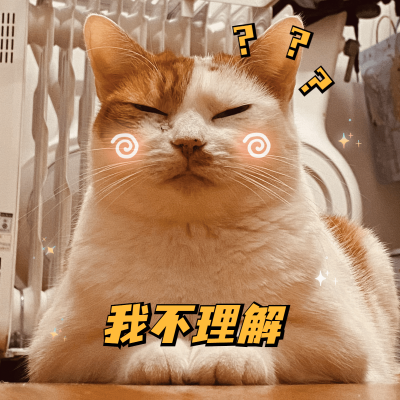 萌宠晒照宠物猫猫晒图模板-我不理解
