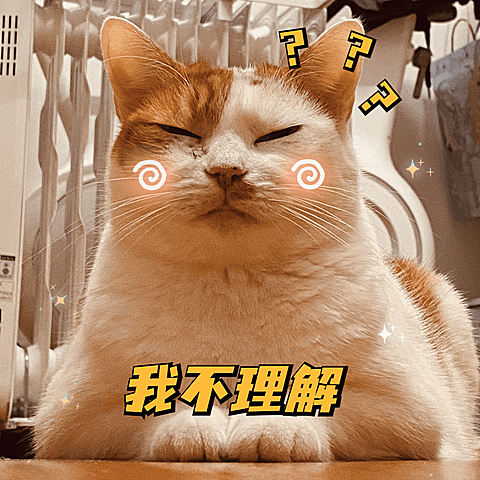 萌宠晒照宠物猫猫晒图模板-我不理解