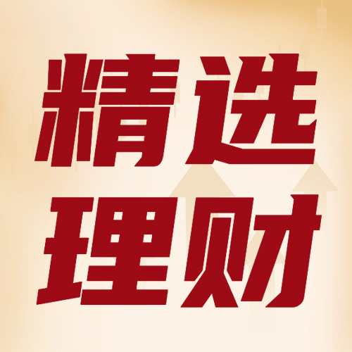 金融保险精选理财大字公众号次图预览效果