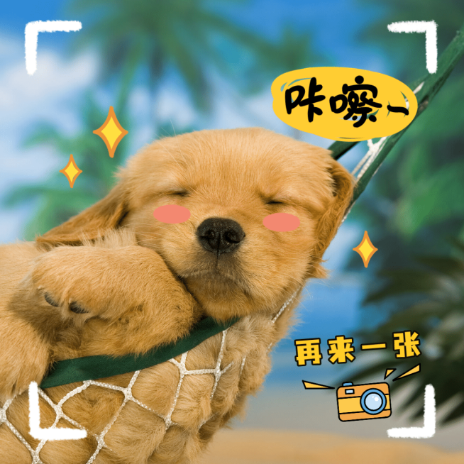 萌宠晒照取景框宠物狗狗晒图模板预览效果