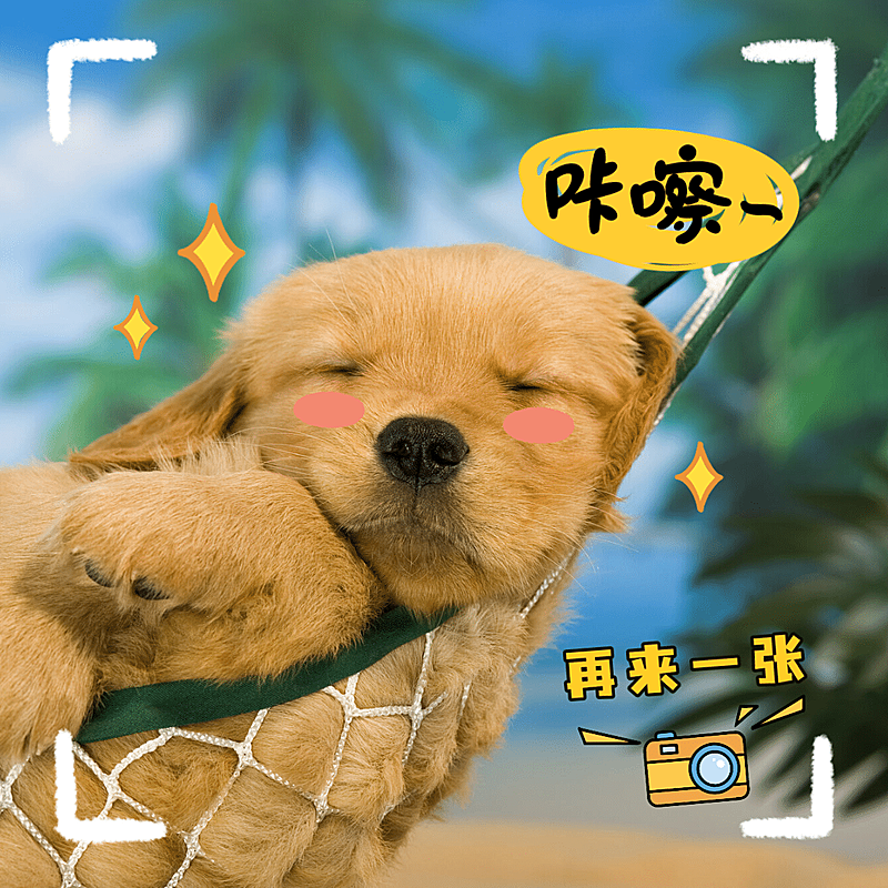 萌宠晒照取景框宠物狗狗晒图模板