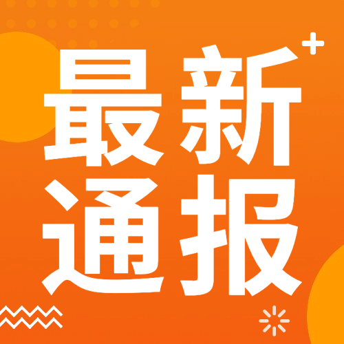 最新通报政务工作汇报简约公众号次图预览效果