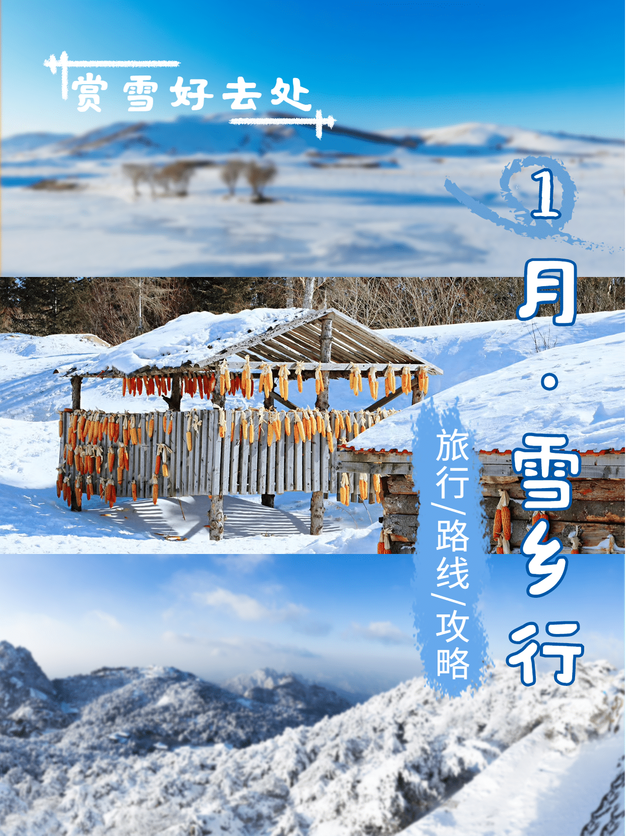 冬季旅游出行攻略指南实景手机海报预览效果