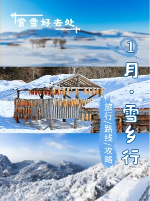 冬季旅游出行攻略指南实景手机海报