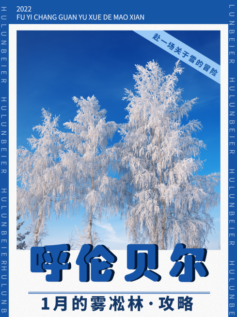 冬季旅游出行旅游攻略实景冷色海报预览效果