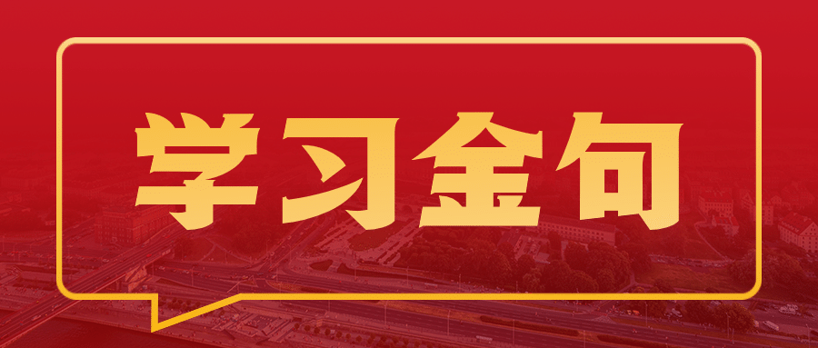 党政金句历史学习教育公众号首图预览效果