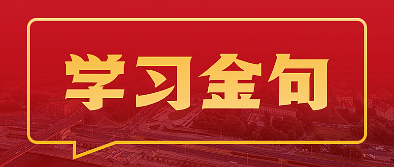 党政金句历史学习教育公众号首图