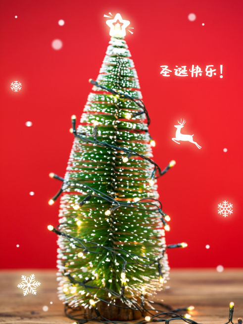 圣诞节晒图祝福节日祝福plog模板预览效果