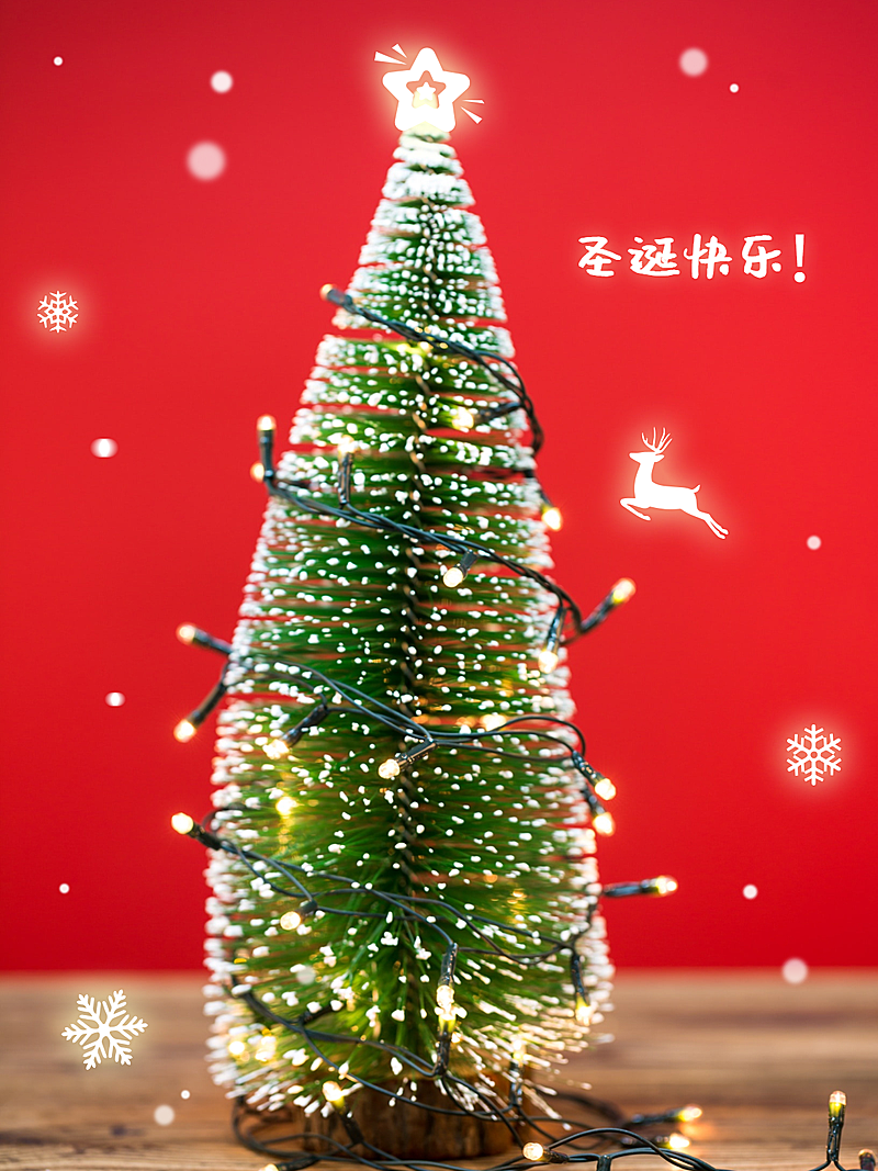 圣诞节晒图祝福节日祝福plog模板