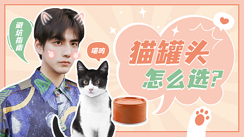 宠物猫萌宠可爱清新横版视频封面