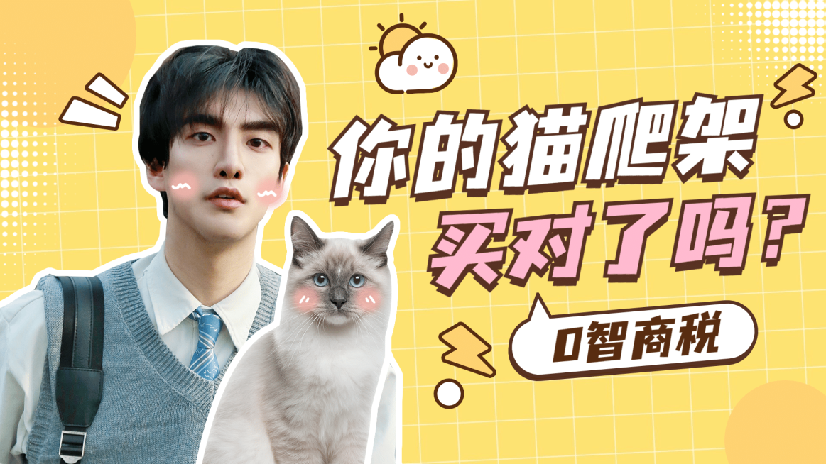 宠物猫萌宠可爱简约横版视频封面预览效果