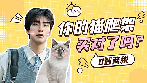 宠物猫萌宠可爱简约横版视频封面