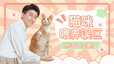 宠物猫萌宠可爱风横版视频封面