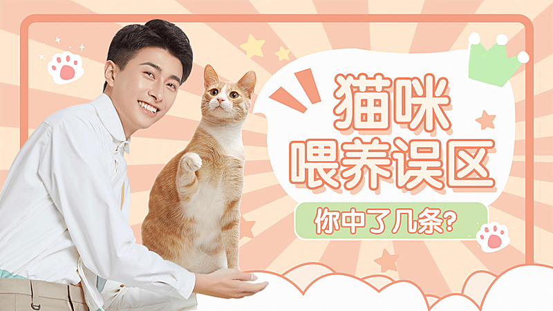 宠物猫萌宠可爱风横版视频封面
