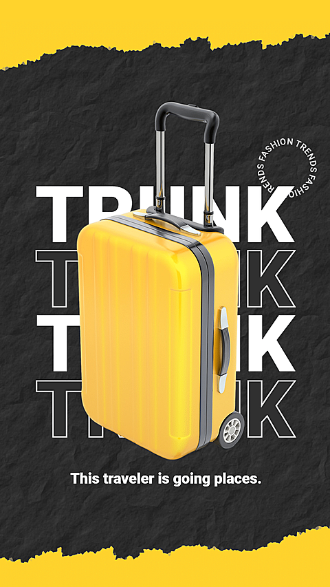 Simple Fashion Style Travel Luggage Display Ecommerce Story