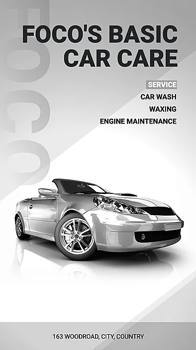 Fashion Style Car Care Services Introduction Ecommerce Story