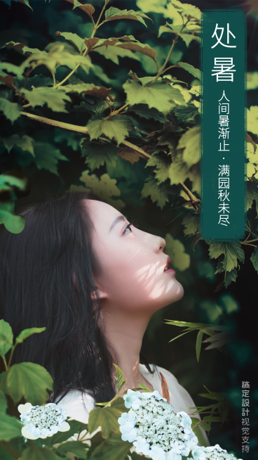 处暑融图模板预览效果