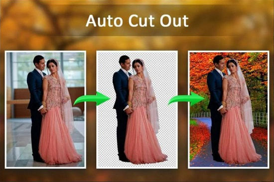 auto-cutout