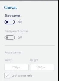 click canvas and switch show canvas off