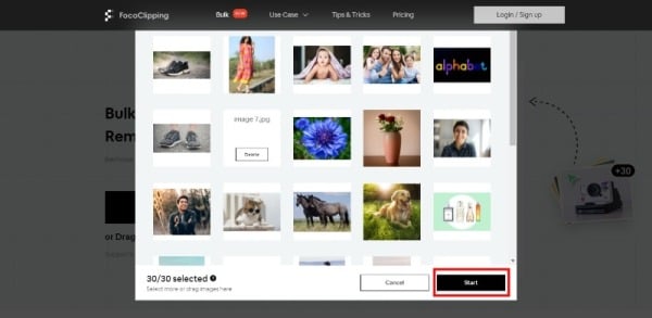 click the start to remove bulk image in FocoClipping
