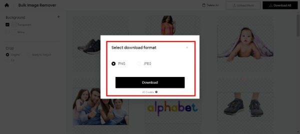 choose the download format