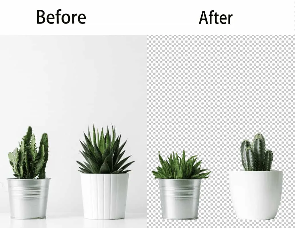 Remove Background-Find Tips about Removing Image Background