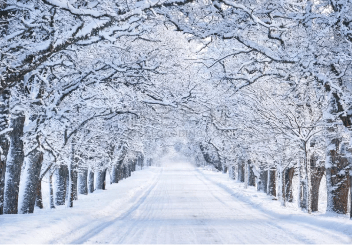 大风雪/巷/早晨图片素材