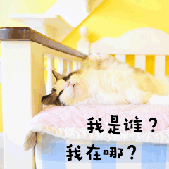 我是谁我在哪迷茫动图表情包预览效果