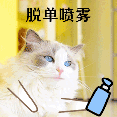 四六级考研期末考试喷雾GIF动图表情包预览效果