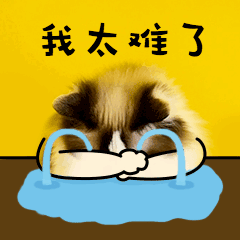 我太难了难过哭泣猫咪GIF动图表情包预览效果