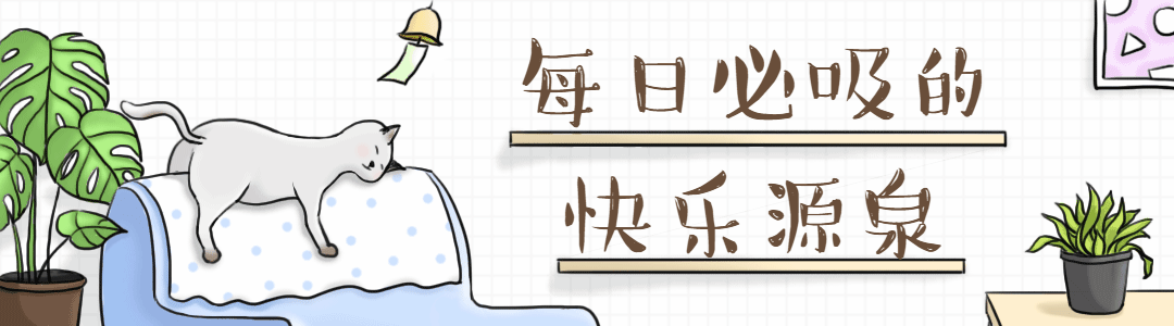 快乐源泉/可爱/萌宠公众号动态引导关注预览效果