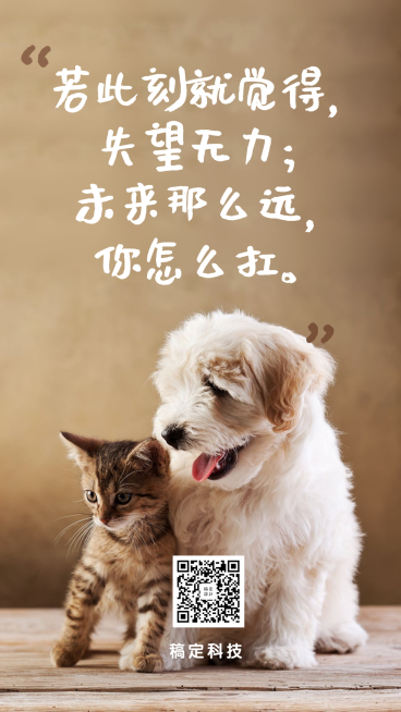 简约可爱/萌宠宠物店/实景图片手机海报预览效果