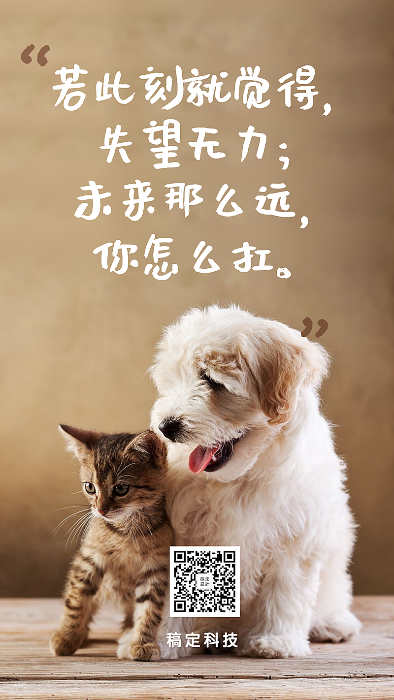 简约可爱/萌宠宠物店/实景图片手机海报