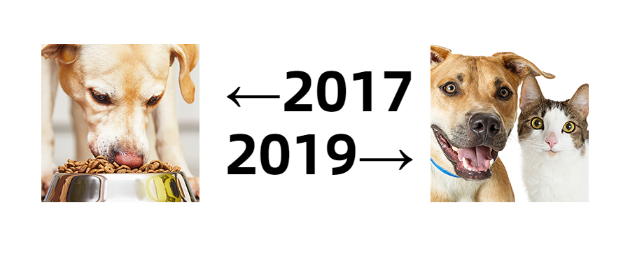 2017年2019年单身狗创意趣味公众号首图预览效果