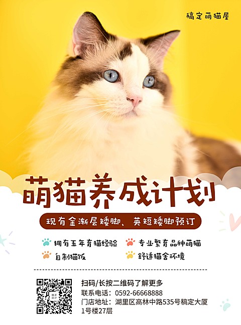 宠物实景卡通项目介绍张贴海报