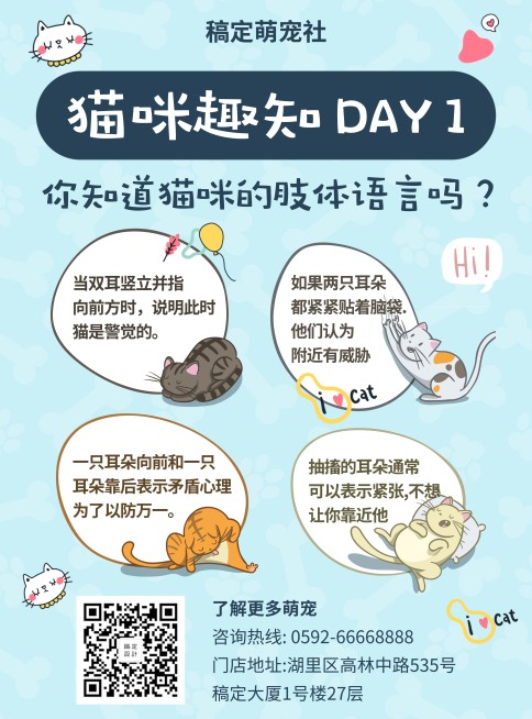 萌宠猫咪趣知科普张贴海报预览效果