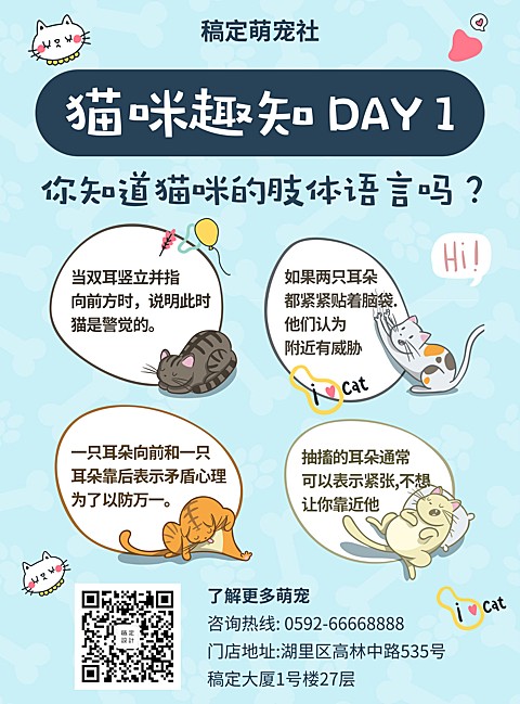 萌宠猫咪趣知科普张贴海报