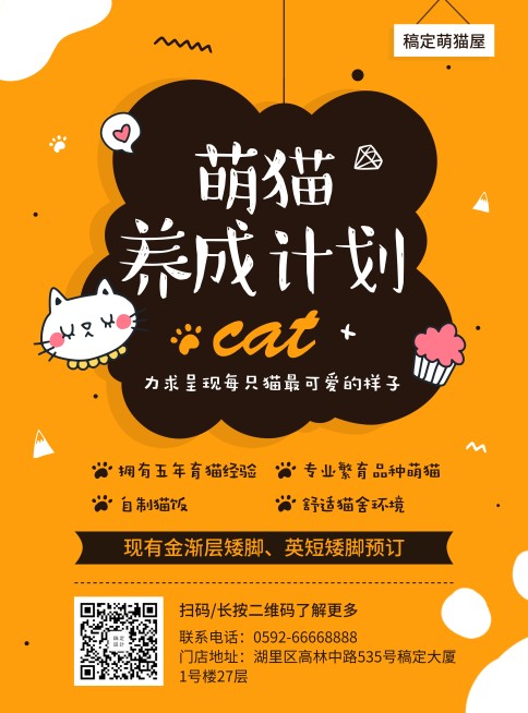 宠物萌猫养成计划项目介绍张贴海报预览效果