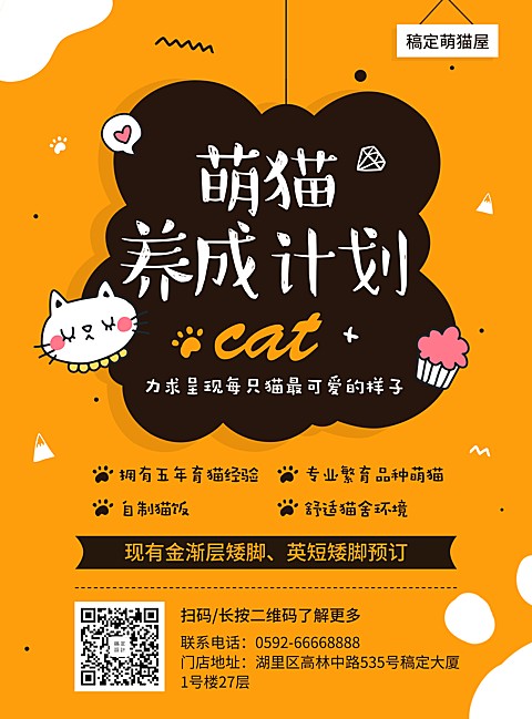 宠物萌猫养成计划项目介绍张贴海报